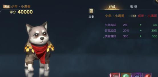 《一起来捉妖土元宝宝》宠物捕获方式详解（掌握捕宠技巧）