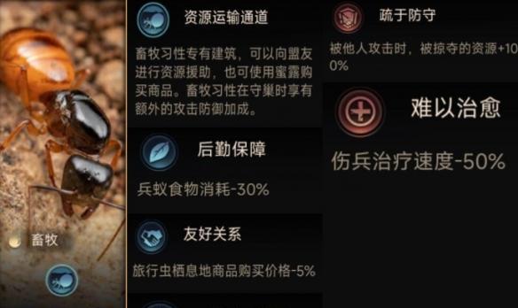 《小小蚁国习性选择攻略》（了解小小蚁国习性特点）