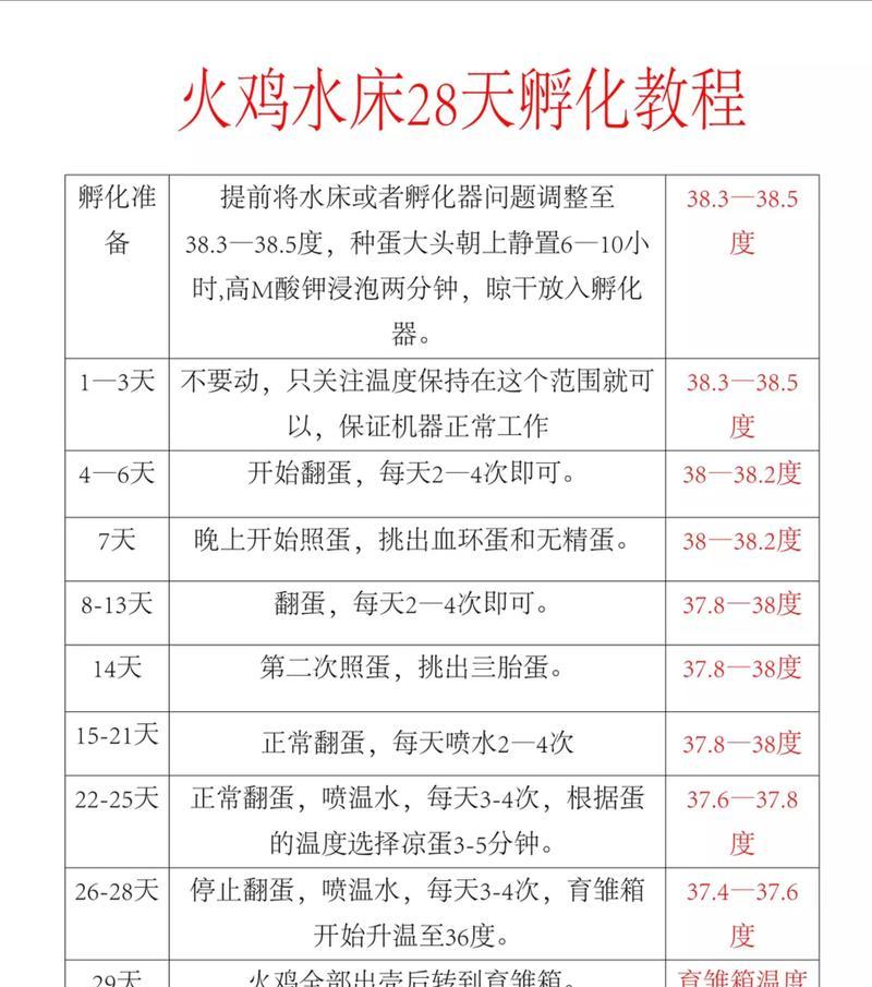 百分之一快速孵蛋指南（打造最强小怪兽队伍的秘诀与经验）