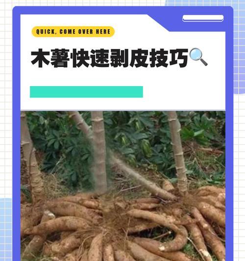 《探索丛林地狱，获取木薯的方法介绍》（如何在游戏中获得丛林地狱的木薯）