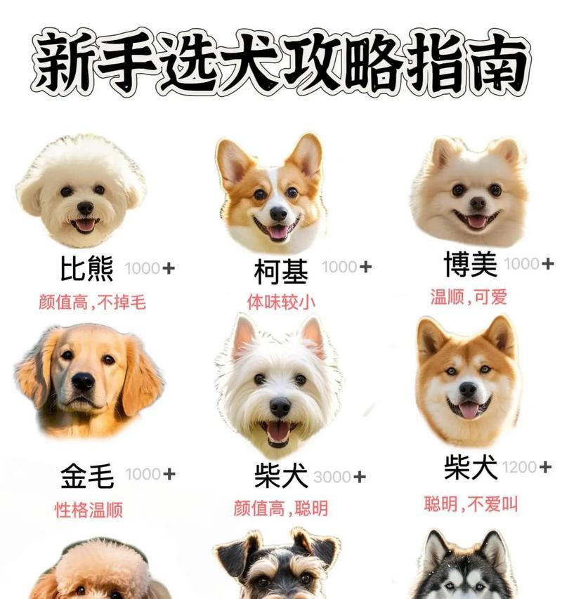 逆战宠物狗选择哪些属性更合适？