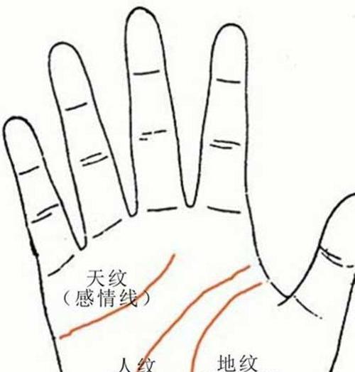 《生命线第3天》通关攻略解析(如何顺利通关第3天)