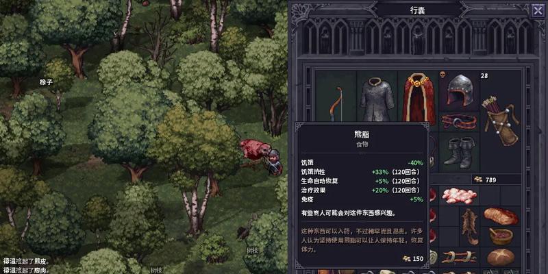 石质碎片盾牌（探索盾牌技能及属性）