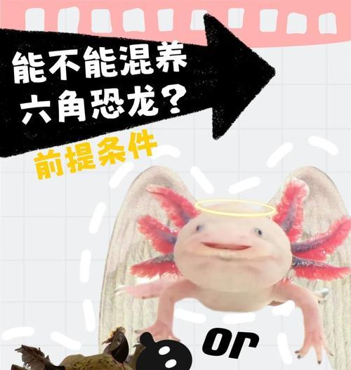 恐龙工厂(以游戏为主)