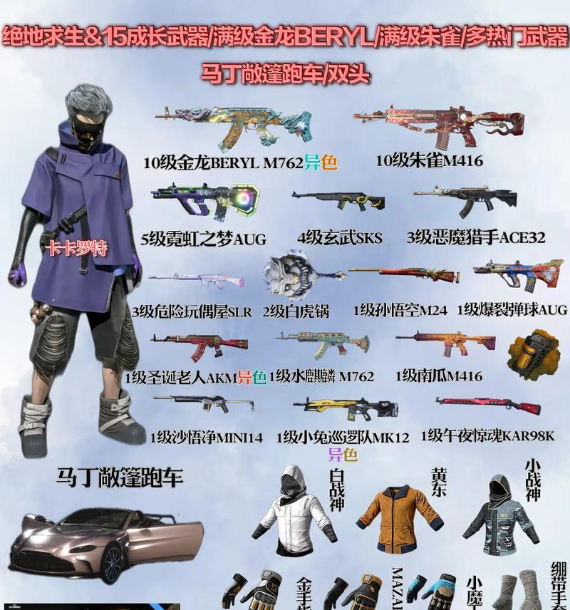 《绝地求生武器大揭秘》（武器种类）